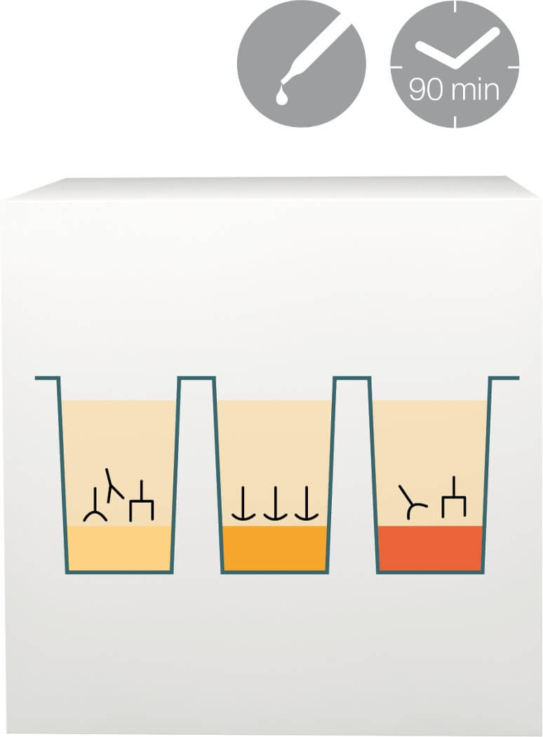 lab-procedure-2