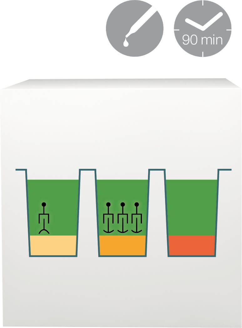 lab-procedure-4