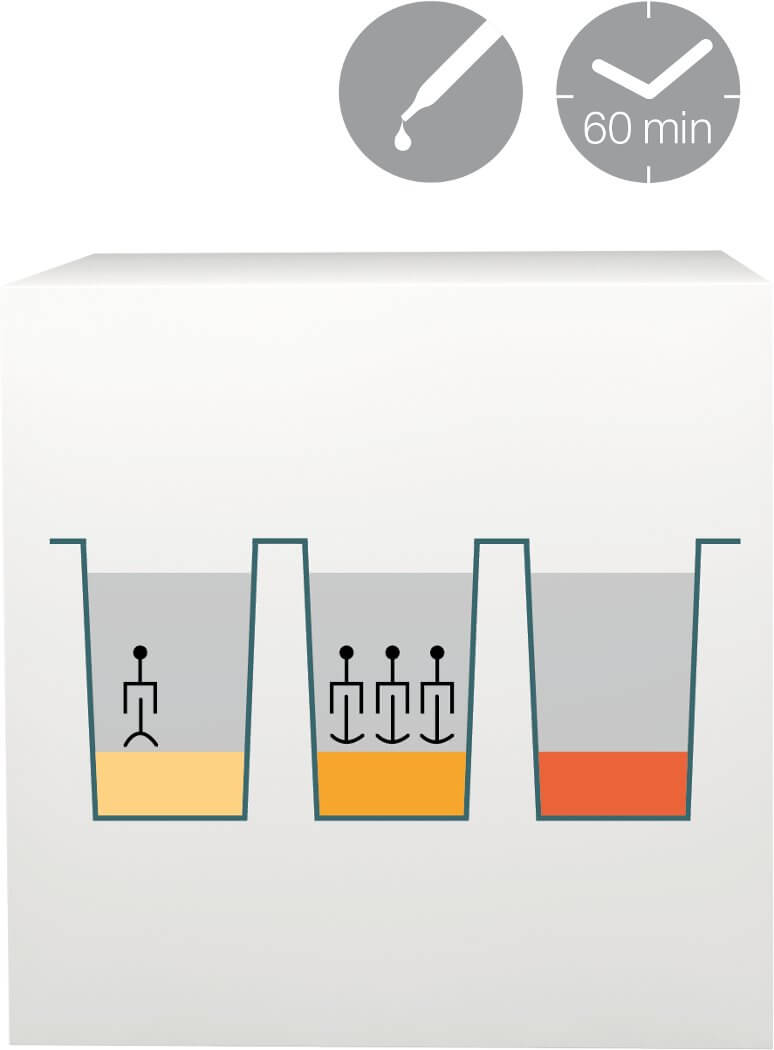 lab-procedure-6